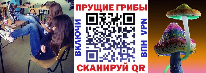 Псилоцибиновые грибы Cubensis  купить   Армянск 
